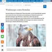 Windenergie contra Rotmilan